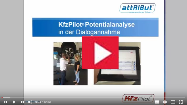 Potentialanalyse